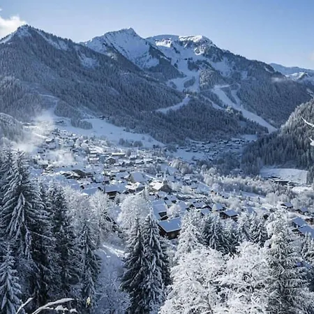 Cosy A Avec Wifi Et Parking, Proche Telecabine - Fr-1-676-8 아파트 Châtel
